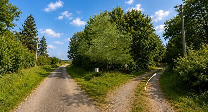 Le Burgaud (l'entrée de la propriété)